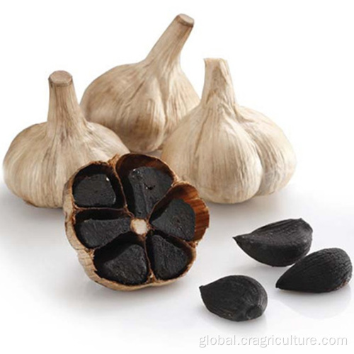 Black Garlic HALAL Certified Organic Fermented Black Garlic Supplier